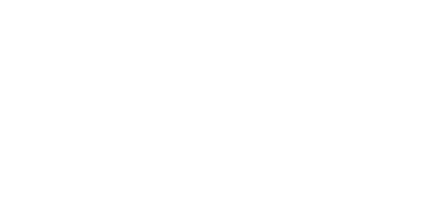 LOGO-IFB