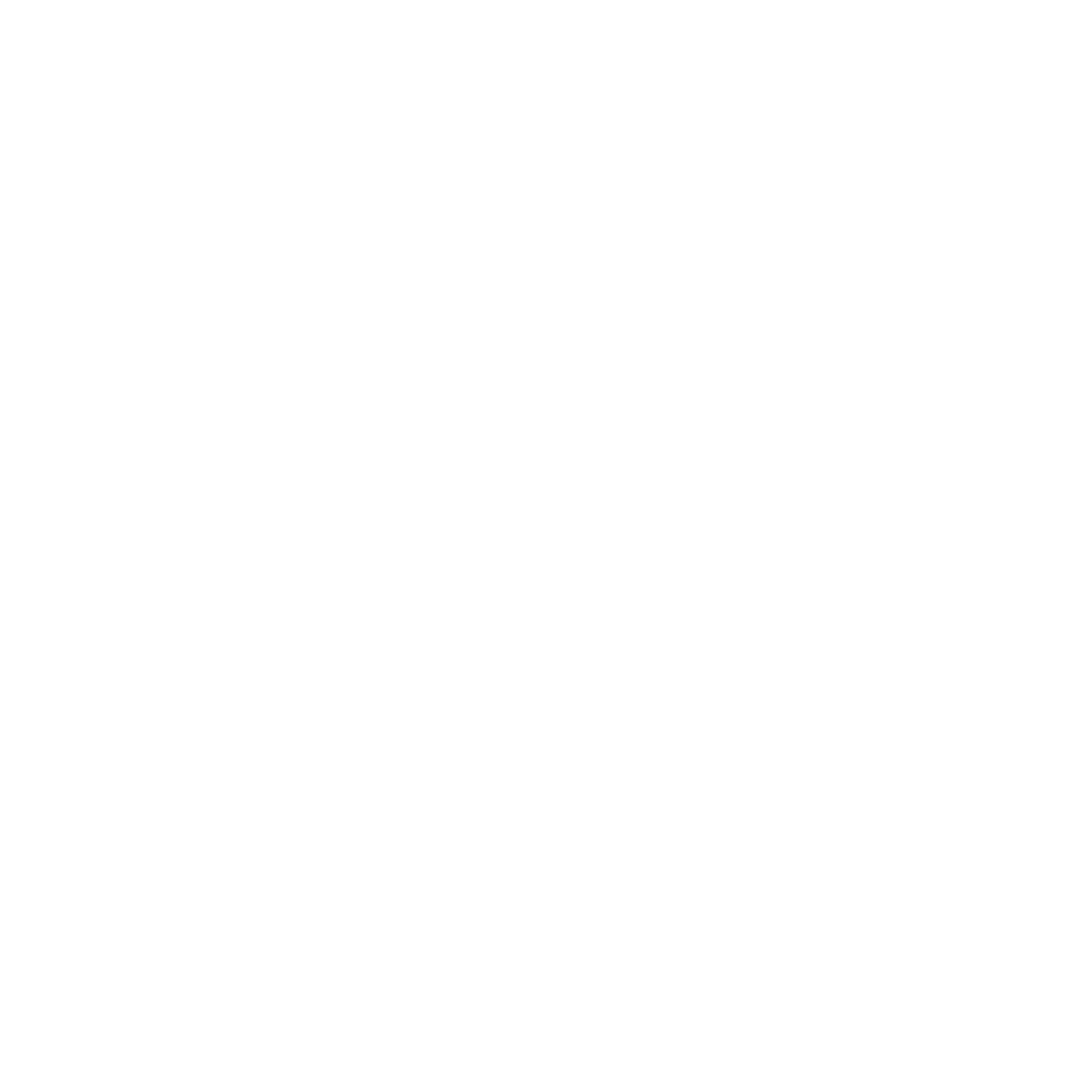 LOGO CNRS